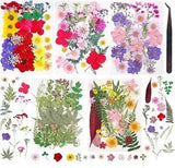 Dried Pressed Flowers 180 Pcs Mixed Dried Flowers for Resin Bulk Natural
