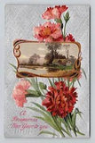 Postcard New Year Greeting w/ Pink Carnation Flowers, Antique B8