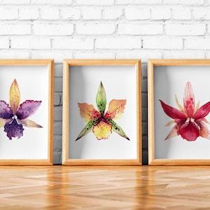 Orchid watercolor art print Set of 3 orchid flower prints painting watercolor tropical decor plants Printable art flowers summer wall art