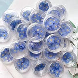 Blue Forget Me Not Flowers,Don't Forget Me Dried Flower,Natural Real Dried