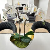 White Orchid Arrangement Centerpiece with Gold Aluminum Contemporary Decorative Bowl. Great accent piece to any home decor, office, dinning.