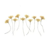 10PCS Real Pressed Dry flower, yellow flower with stem for art, craft FCD32