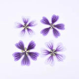 8PCS Real Pressed Dry flower, purple cherry flower for art, DIY craft FCD61