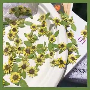 12x Pressed Dried Flowers Mini Sunflower Epoxy Resin Filler Jewelry Craft Making