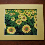 Sunflower art print - Matted in Canary yellow - 11 x 14" - scroll down for item details/shipping