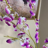 Dancing Orchids - Purple
