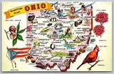 Greetings Ohio Buckeye State Cardinal Carnation Flower OH River Boats PC