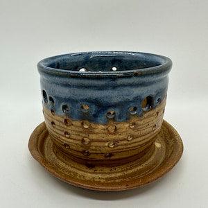 Orchid Pot #21