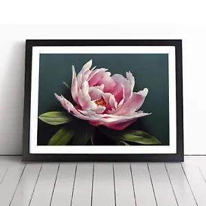 Stupendous Peony Flower Framed Wall Art Poster Print Home Decor Picture Large