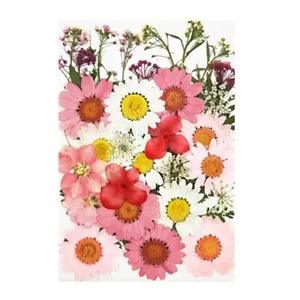 36 PCS Real Dried Pressed Flowers Leaves Petals for DIY Candle Resin9189