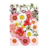 36 PCS Real Dried Pressed Flowers Leaves Petals for DIY Candle Resin9189