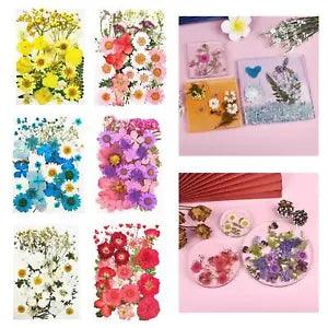 Dried Pressed Flowers Bulk Soap Making Crafts DIY Epoxy Resin Jewelry Making