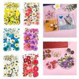 Dried Pressed Flowers Bulk Soap Making Crafts DIY Epoxy Resin Jewelry Making