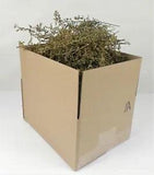 Sweet Annie "Super Shorts" Box Full Wild Dried Herb Primitive 2023 Harvest
