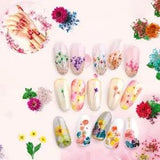 Dried Flowers Mixed Set Nail Decoration Dried Flowers Nail Decor Nail Art Tips