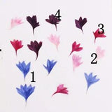 20PCS real Pressed Cornflower Petals Flower, 3 colors dyed available FCD03