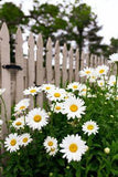 These Stunning Fall Flowers Will Make Your Garden the Best on the Block Flower Delivery