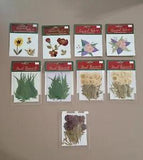 Darice Dried Botanicals Embellishments Floral Craft Scrapbooking Card Making...
