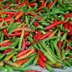 Sri Lanka Sangram Chilli Pepper Red or Green Cayenne Pepper