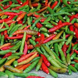 Sri Lanka Sangram Chilli Pepper Red or Green Cayenne Pepper