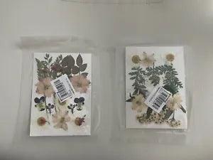 Dried Pressed Flowers and Leaves for Resin, Jewelry DIY, etc. Set 2 - White