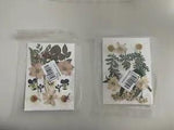 Dried Pressed Flowers and Leaves for Resin, Jewelry DIY, etc. Set 2 - White