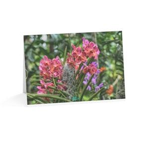 Blooming Beauty: Enjoy Nature? Pink Vanda Orchid Photo Note Cards - Set of 10 Boxed Note Cards for Nature Lovers