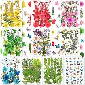 223 Pieces Real Dried Flowers Leaves and Butterfly Stickers Set, Multiple Presse