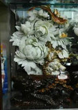 19.2" China Natural Xiu Jade Jadeite Carved subshrubby peony flower Birds Statue