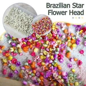 Real Dried Flowers Set Art Craft Epoxy Resin Candle Jewelry Q7I7 Glass F8L4