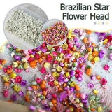 Real Dried Flowers Set Art Craft Epoxy Resin Candle Jewelry Q7I7 Glass F8L4