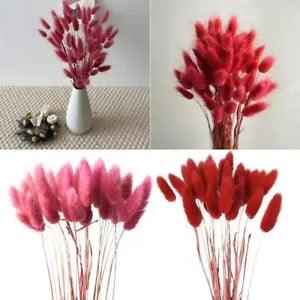 Boho Decor Dried Flowers - 30pcs Rabbit Tail Grass For Wedding Christmas R5O9