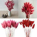 Boho Decor Dried Flowers - 30pcs Rabbit Tail Grass For Wedding Christmas R5O9