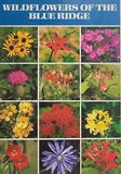 NEW LISTINGWildflowers of Blue Ridge Phlox Lily Azalea Morning Glory + Postcard