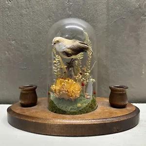 Vintage Glass Dome Decor Bird Dried Plant Floral Wood Base W/ Candle Holders 8???