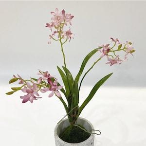 Quality Vanda Orchid Plant with Moss Ball, Fake Dendrobium Nobile Bloom, Artificial Flower Crafts, Wedding Party Table Centerpiece, Greenery
