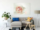 White Peony Art, Rose Art, White Peony Print, White Flower Print, Decor Print