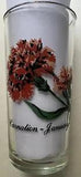 Brockway Flower of Month Tumbler Carnation January 5 1/4??? Tall