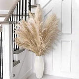 10pcs 40'' Tall Natural Dried Pampas Grass - Elegant Fluffy 40 inch Beige