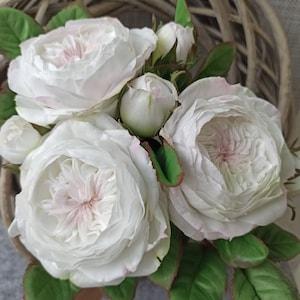 White rose for vase, Realistic Peony rose, David Austin Cabbage Rose, Bride wedding bouquet, Artificial garden rose, Interior Centerpiece
