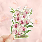 Dendrobium Anosmum Sticker, Orchid Flower Sticker, Die Cut Sticker, Water Bottler Sticker, Laptop Decal, Vinyl Sticker, Plant Stickers