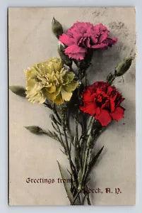 c1908 Carnation Flower Greetings From Rhinebeck New York NY Postcard