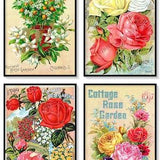 Cottage Rose Vintage Seed Catalogue Covers Set of 4 Art Prints Shabby Chic Rose Decor