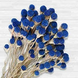 Natural Blue Dried Thistle Flowers Bouquet for Christmas Wedding Home Decor