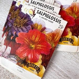 Vintage Bolero seed packs, Salpiglossis unused, Spanish style Ephemera, Junk journal pocket, Nature Botanical Flower theme, 5 bags