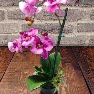 Artificial Phalaenopsis Orchid Plant, Silk Flowers PINK