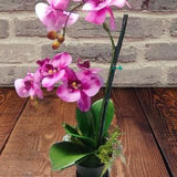 Artificial Phalaenopsis Orchid Plant, Silk Flowers PINK