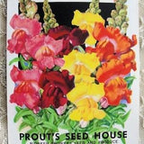 Antique Seed Packet Colorful Flowers Suitable To Frame Cottage Chic Decor Scrapbooking Crafts Weddings Gifts,French Cottage Decor,Farmhouse
