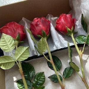 Red roses bouquet Preserved roses box Forever rose Eternity flowers Fake plants Realistic greenery