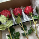 Red roses bouquet Preserved roses box Forever rose Eternity flowers Fake plants Realistic greenery